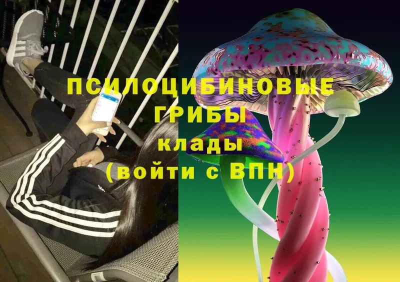 Псилоцибиновые грибы Magic Shrooms  omg   Владивосток 